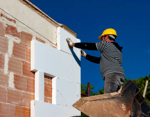 Best Insulation Maintenance and Repair in Chuluota, FL