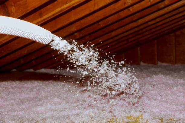 Best Insulation Installation Services in Chuluota, FL